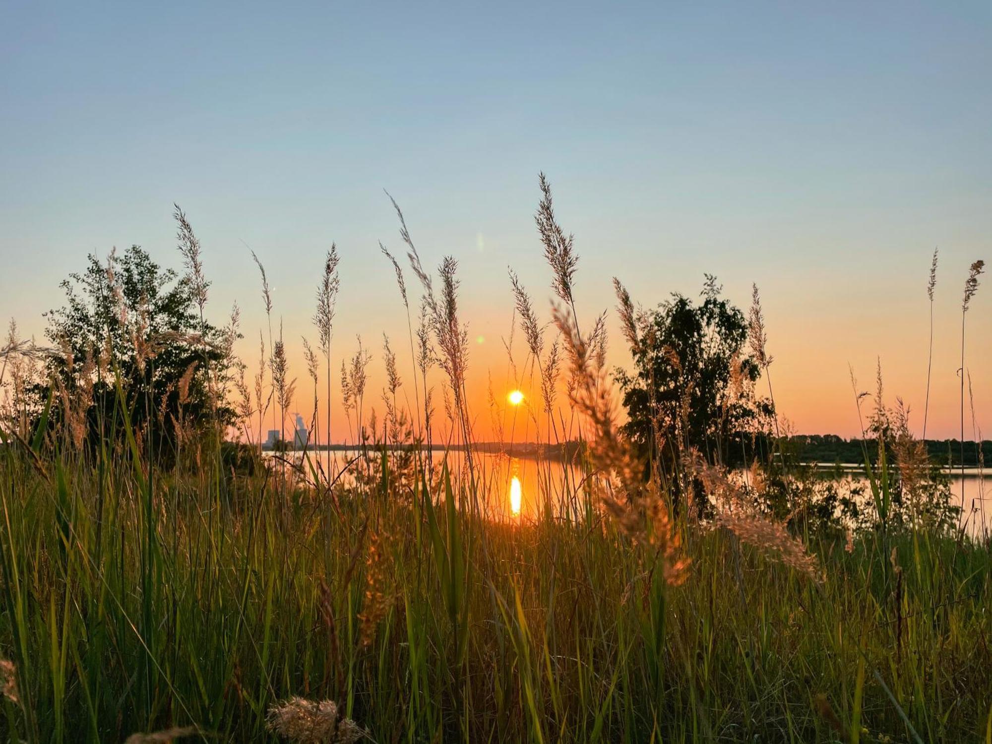 Haus Im Schilf 1 - Ferienwohnungen Am Hainer See Bei Leipzig Neukieritzsch Екстер'єр фото