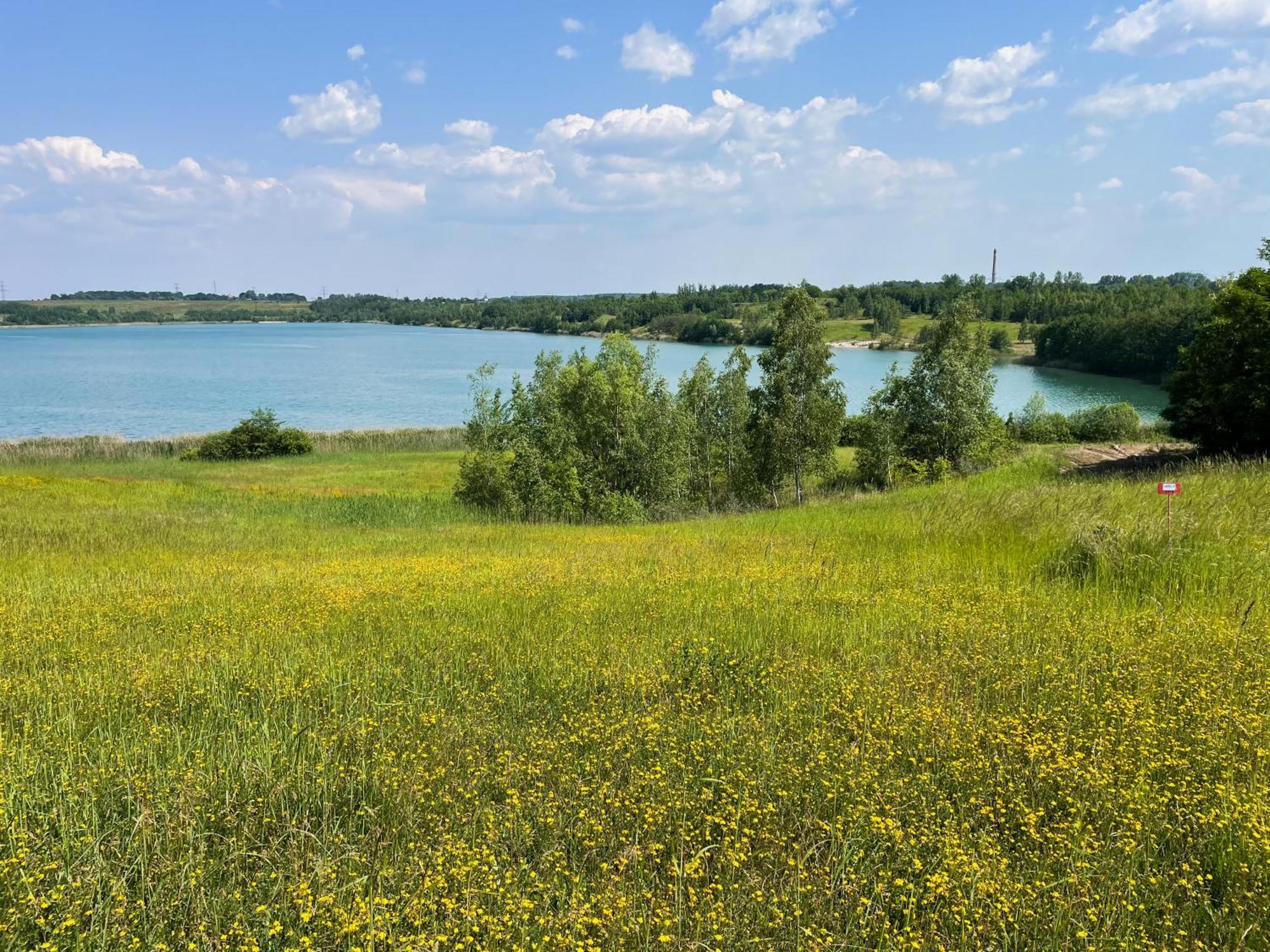 Haus Im Schilf 1 - Ferienwohnungen Am Hainer See Bei Leipzig Neukieritzsch Екстер'єр фото